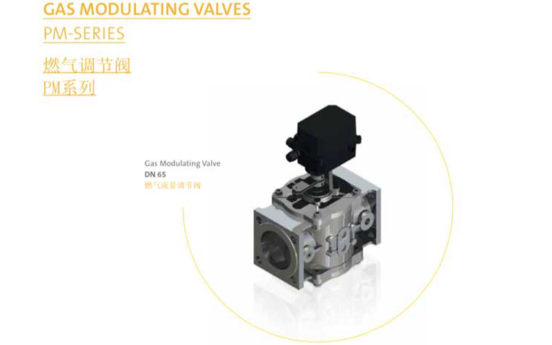 Gas valve-Regulator