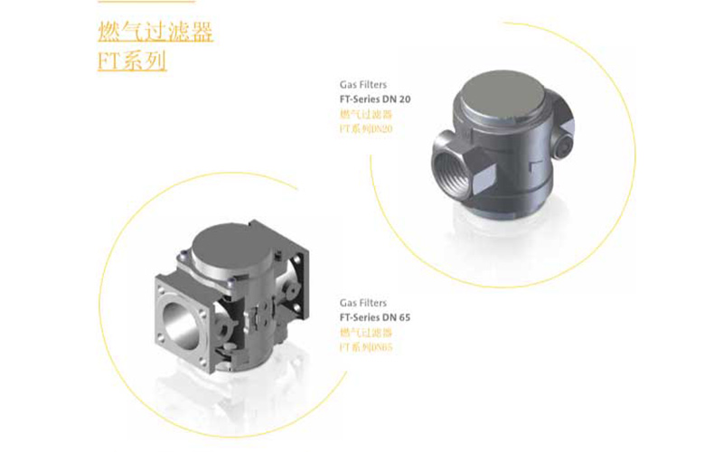 Gas valve-Filter